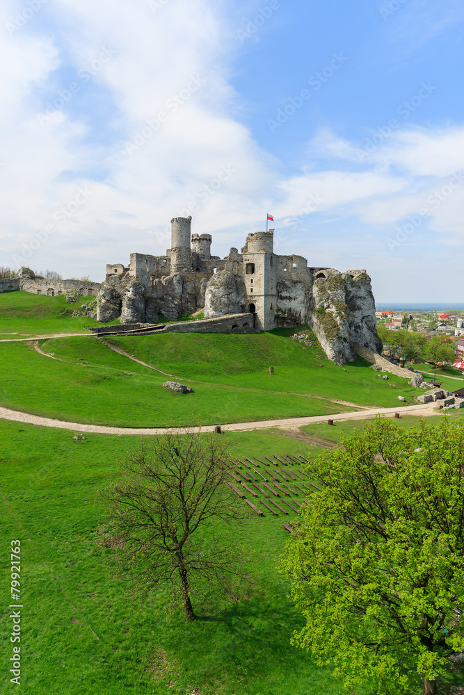 Beautiful castle in Ogrodzieniec near Krakow in spring, Poland