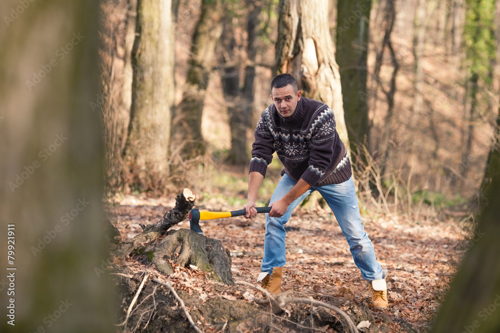 Young lumberman with his axe cutting the tree in the woods Young lumberman with his axe cutting the tree in the woods