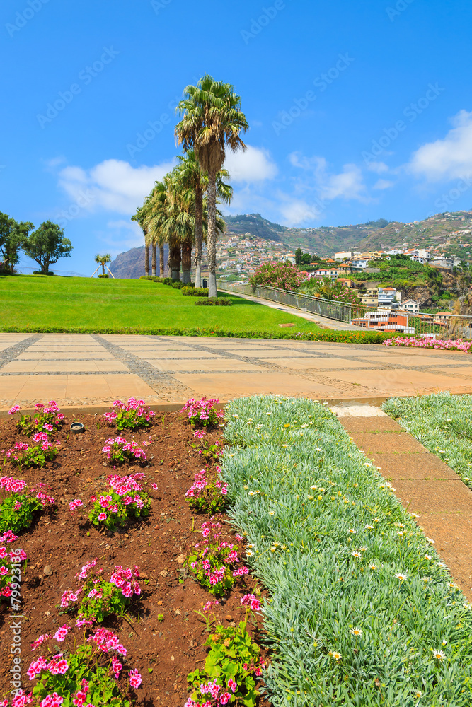 Flowers in a park in Camara de Lobos, Madeira island, Portugal