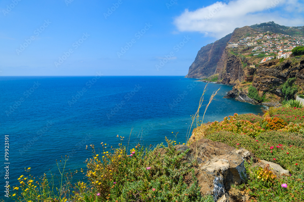 Tropical plants on coast of Madeira island in summer, Portugal