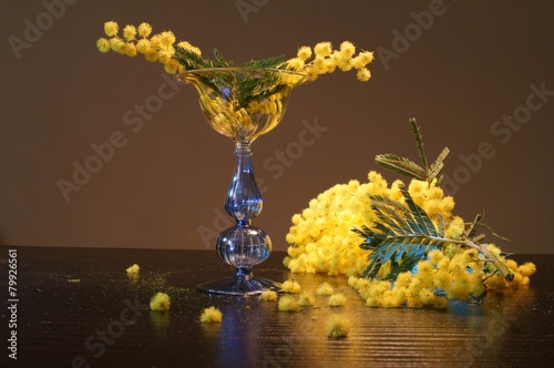 Mimose nel bicchiere