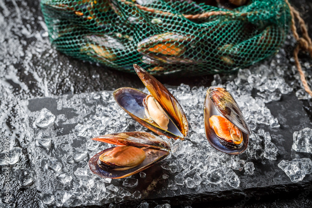 Obraz premium Fresh mussels on ice