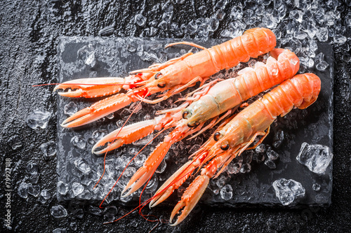 Freshly caught langoustines on ice