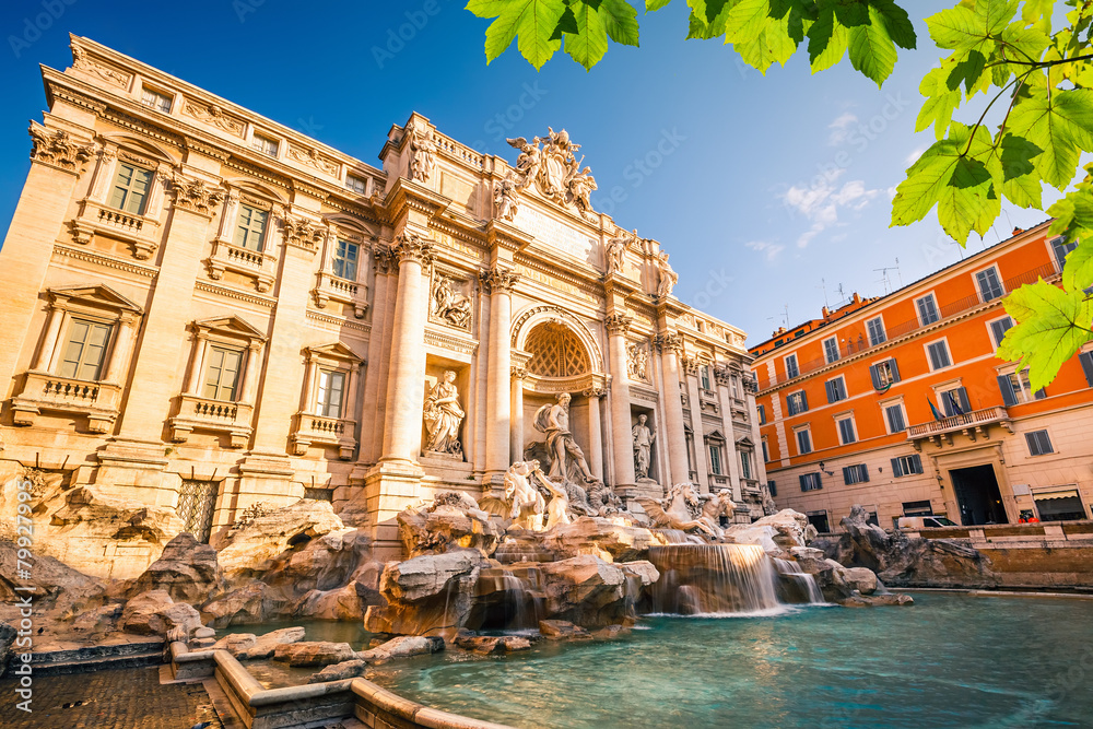 Fototapeta premium Fountain di Trevi