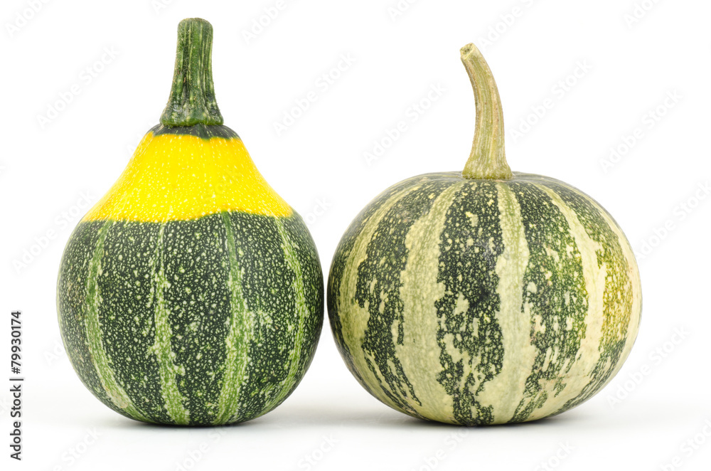Colorful pumpkins on white background Colorful pumpkins on white background