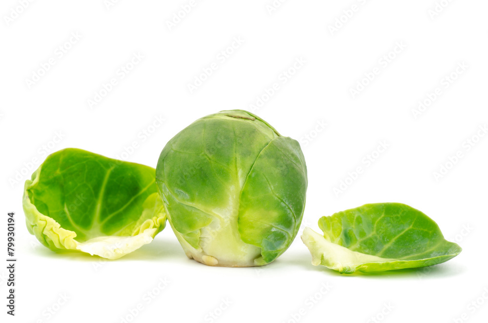 Fresh brussel sprout on white background Fresh brussel sprout on white background