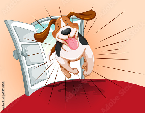 Playful pet running