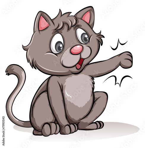 Playful gray cat
