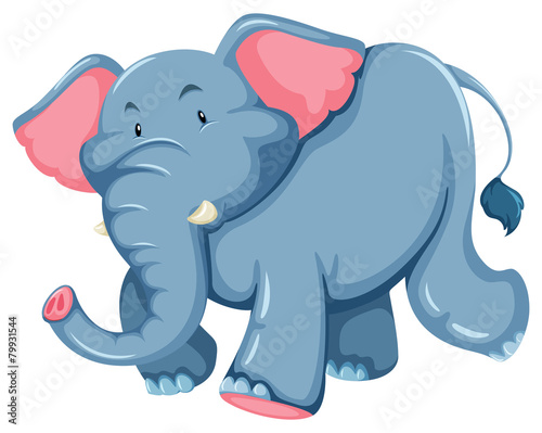 Blue elephant