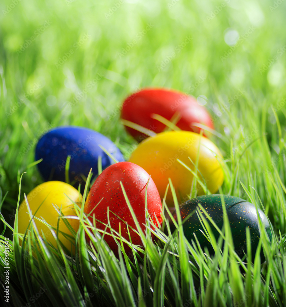 Colorful Easter eggs on green grass in the morning