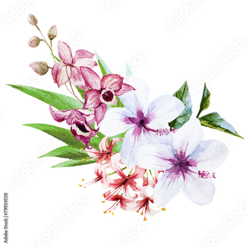 Nice orchids