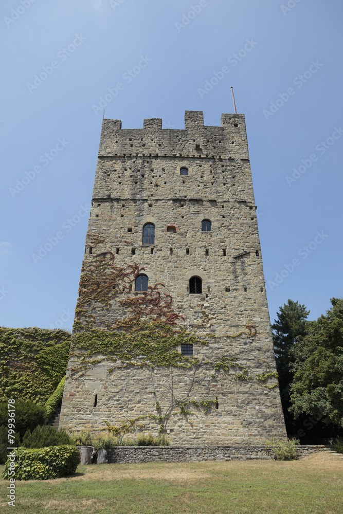 Verticale del Castello di Porciano, Stia