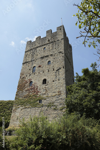 Castello di Porciano, Stia
