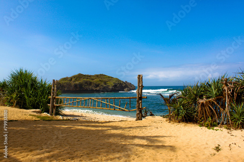 Tropical Beach (ID: 79938180)