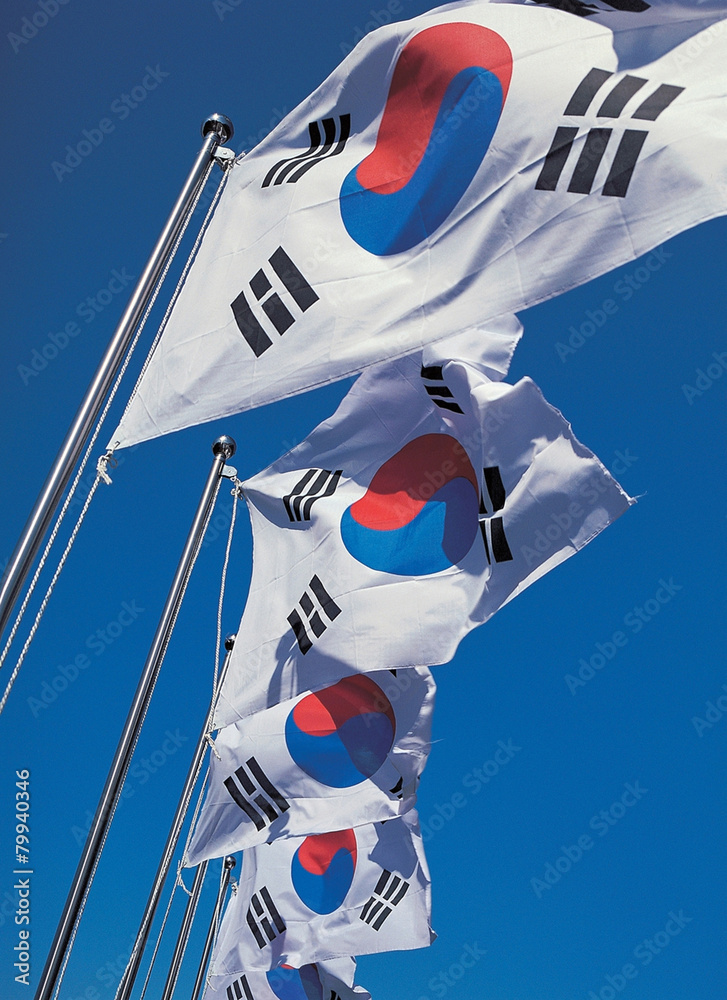 깃발과 태극기 깃발과 태극기