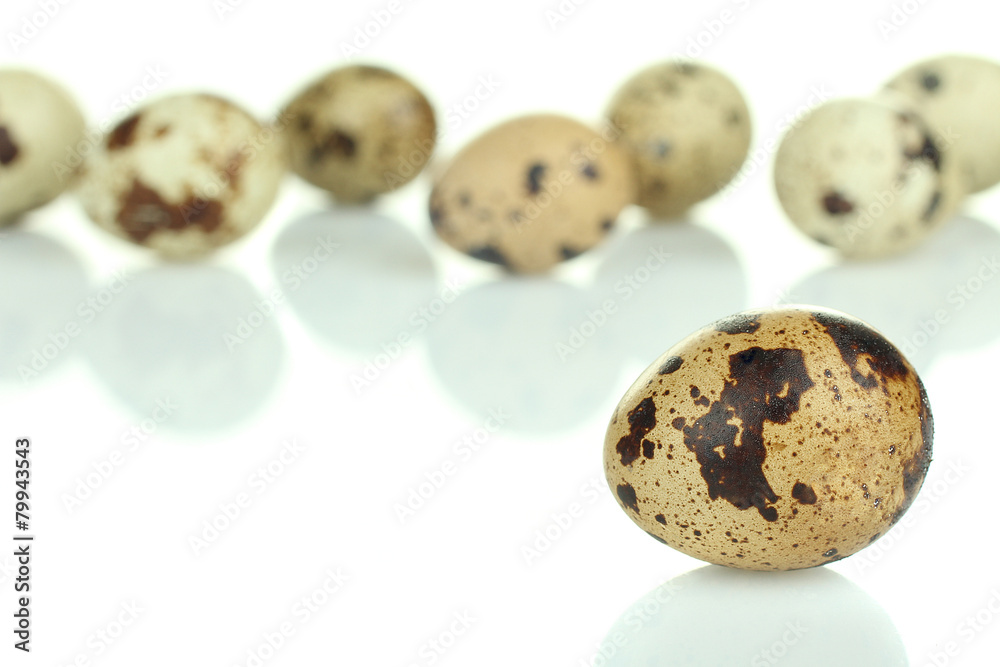 Fototapeta premium quail egg
