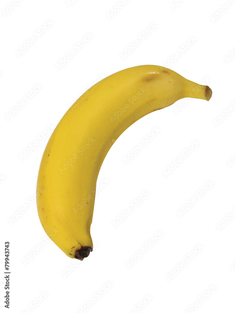 음식이미지 음식이미지