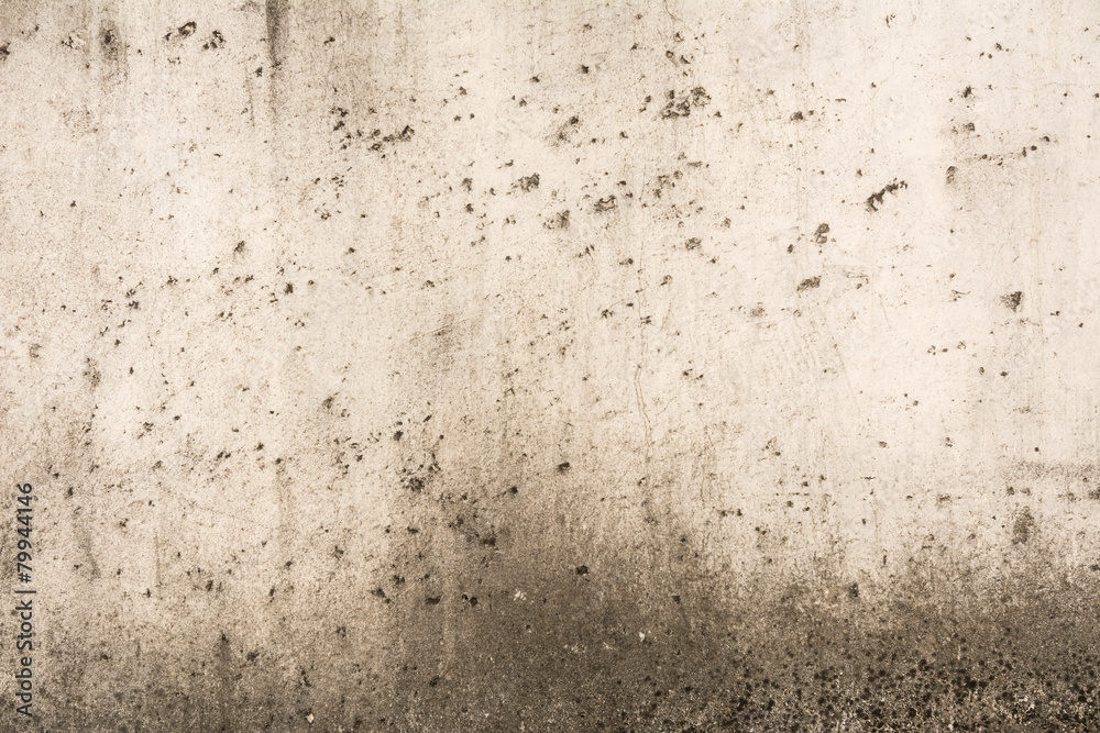 Obraz premium Aged brick wall coated by mixture of cement powder and sugarcane