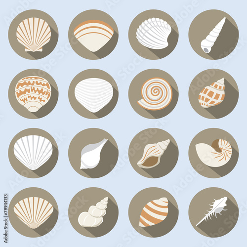 Sea Shell Flat Icons Set