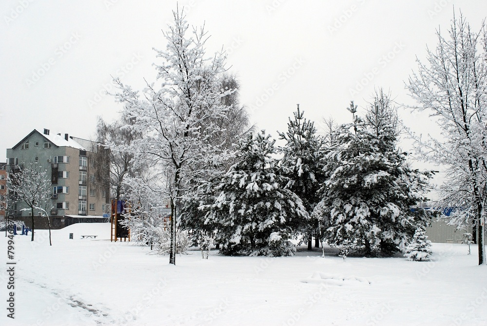 Winter snowfall in capital of Lithuania Vilnius city