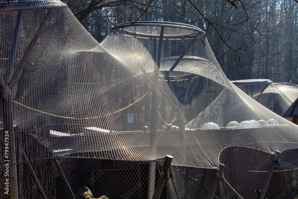 Photography steel mesh for aviary