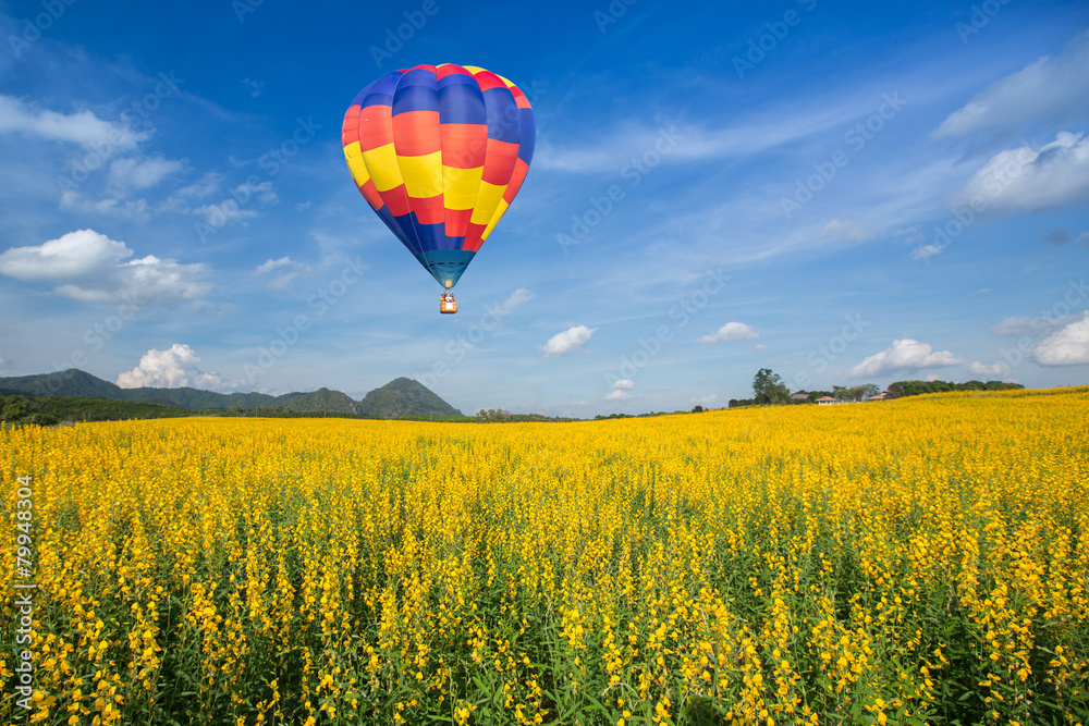 Fototapeta premium Hot air balloon over yellow flower fields against blue sky