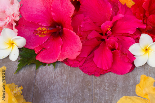 colorful hibiscus flowers with tag