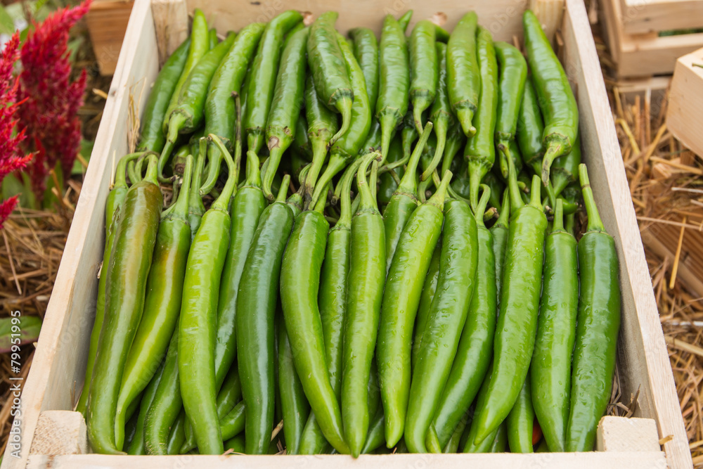 green pepper on shelf in market.