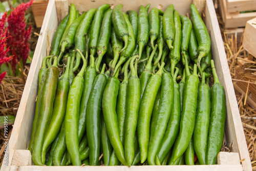 green pepper on shelf in market.