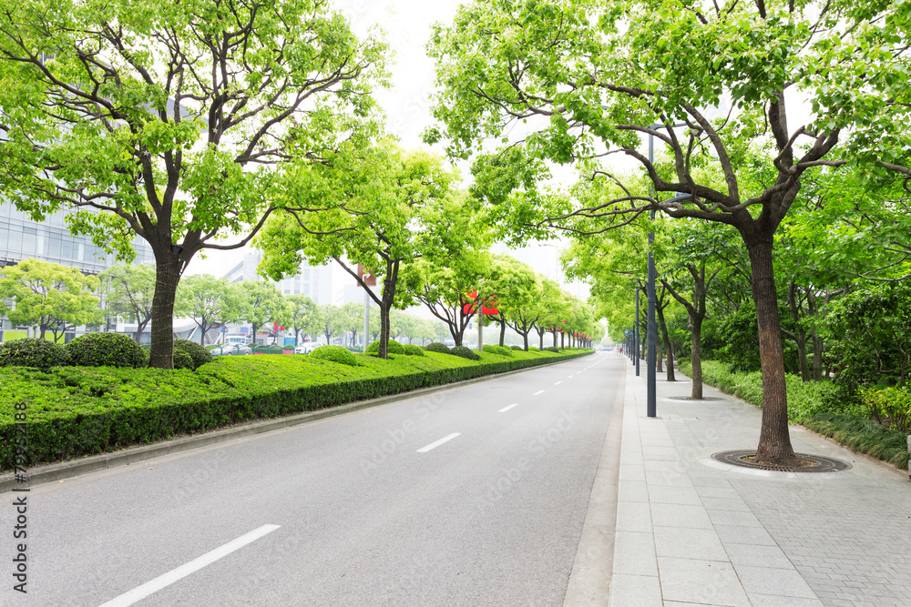 Fototapeta premium Drzewa zdobią drogę w nowoczesnym mieście