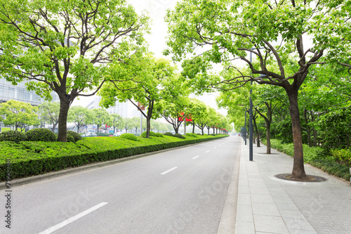 Trees decorated road in modern city