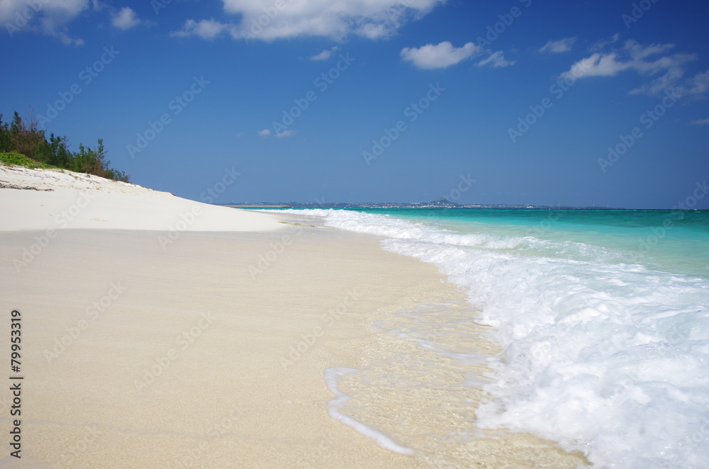 Obraz premium 南国の美しいビーチと紺碧の空