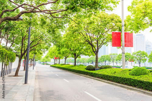 Trees decorated road in modern city