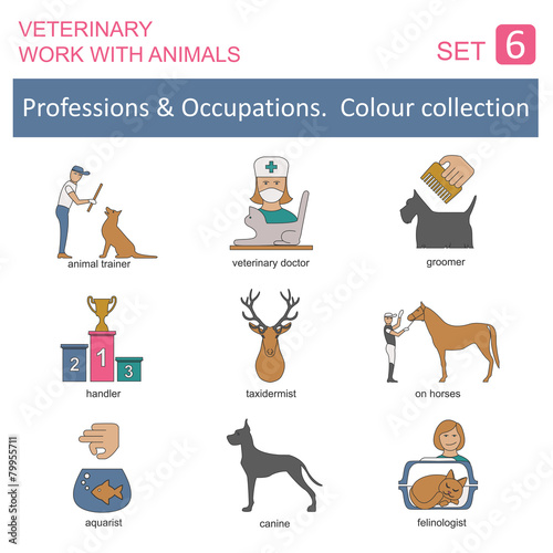 Professions and occupations coloured icon set. Veterinary, work