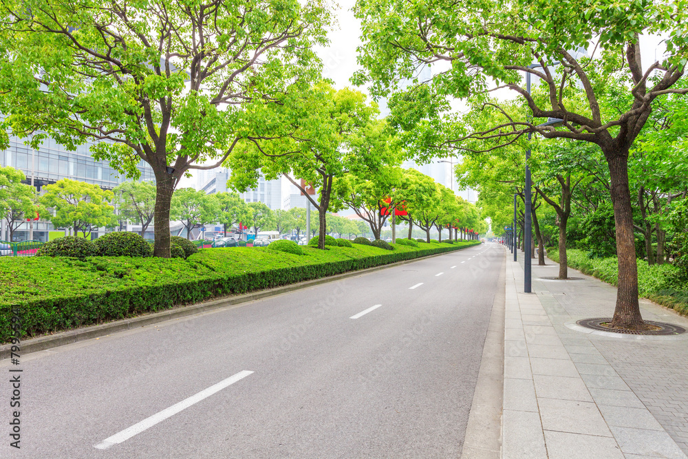 Fototapeta premium Drzewa zdobią drogę w nowoczesnym mieście