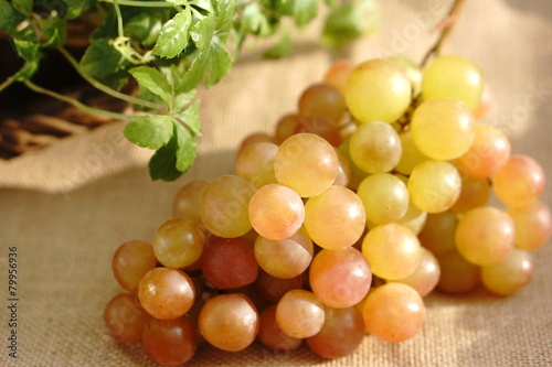 スイーツキングマスカットシードレス