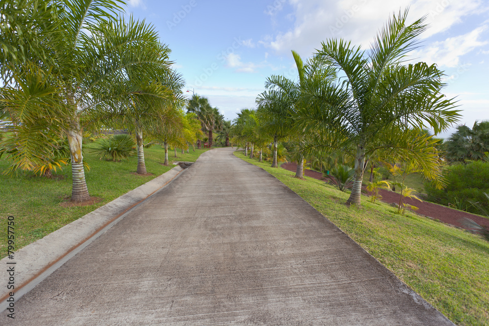 allée bétonnée de jardin public