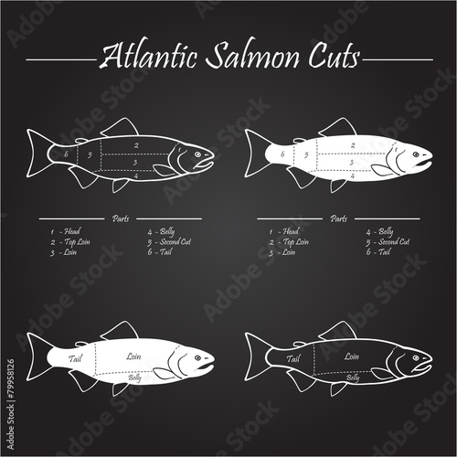 Atlantic salmon cuts diagram, chalkboard