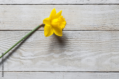 Murais de parede Yellow narcissus flowers on wooden background