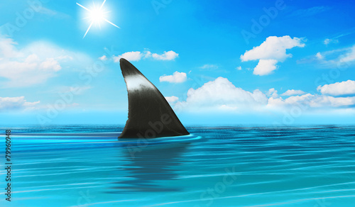 Hai Rückenflosse rangt aus dem Wasser, shark attack