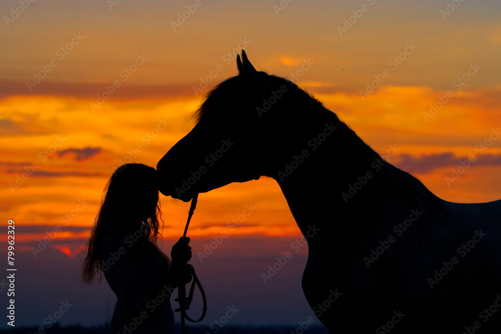 Beautiful horse with girl silhouette on sunset Stock Photo Adobe Stock