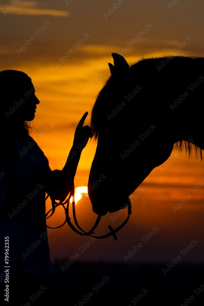 Beautiful horse with girl silhouette on sunset Stock Photo | Adobe Stock