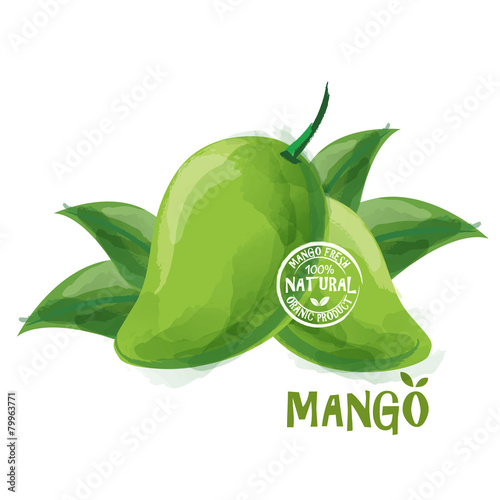 mango fruit