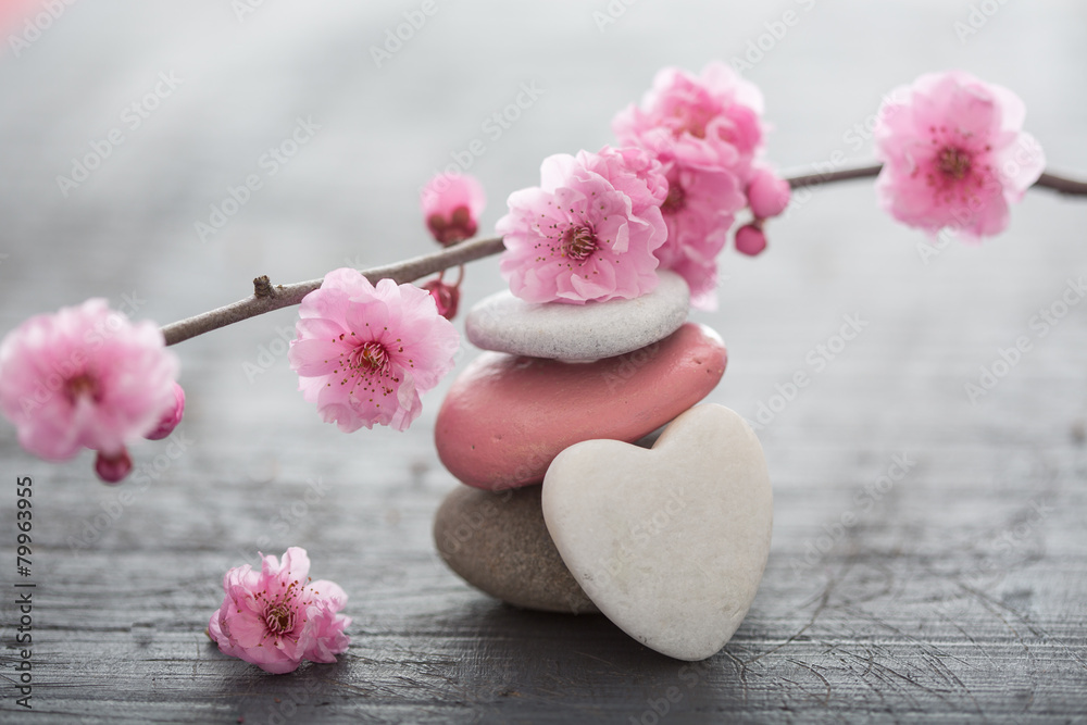 Photo sur Toile fleurs zen 