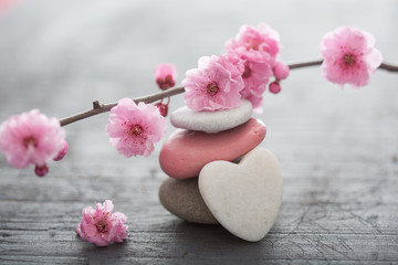 Plexiglas schilderij Zen Zen bloemen met kiezels  © Toanet
