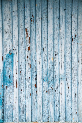 Old peeling blue paint on weathered wood as grunge background
