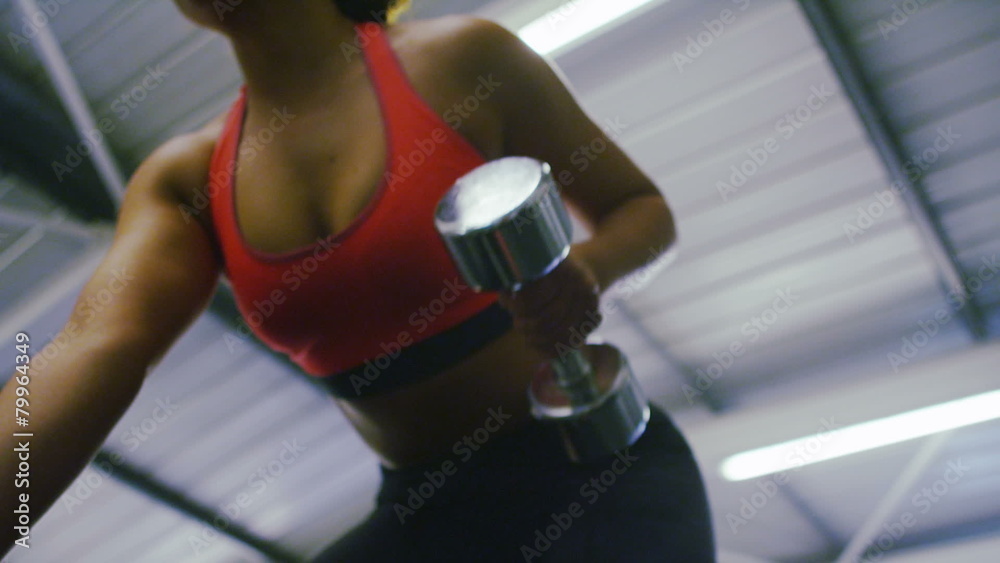 Young athletic woman using weights in a gym Young athletic woman using weights in a gym