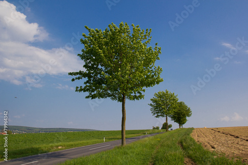 Einsame Straße in Österreich photo