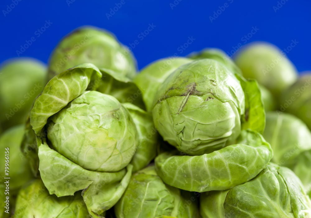Obraz premium Brussels sprout