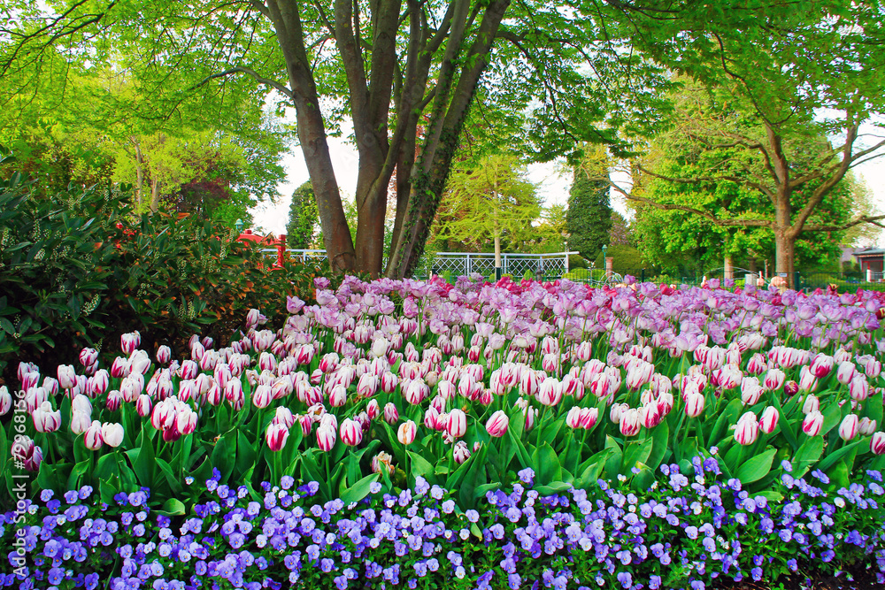 Gartenlandschaft